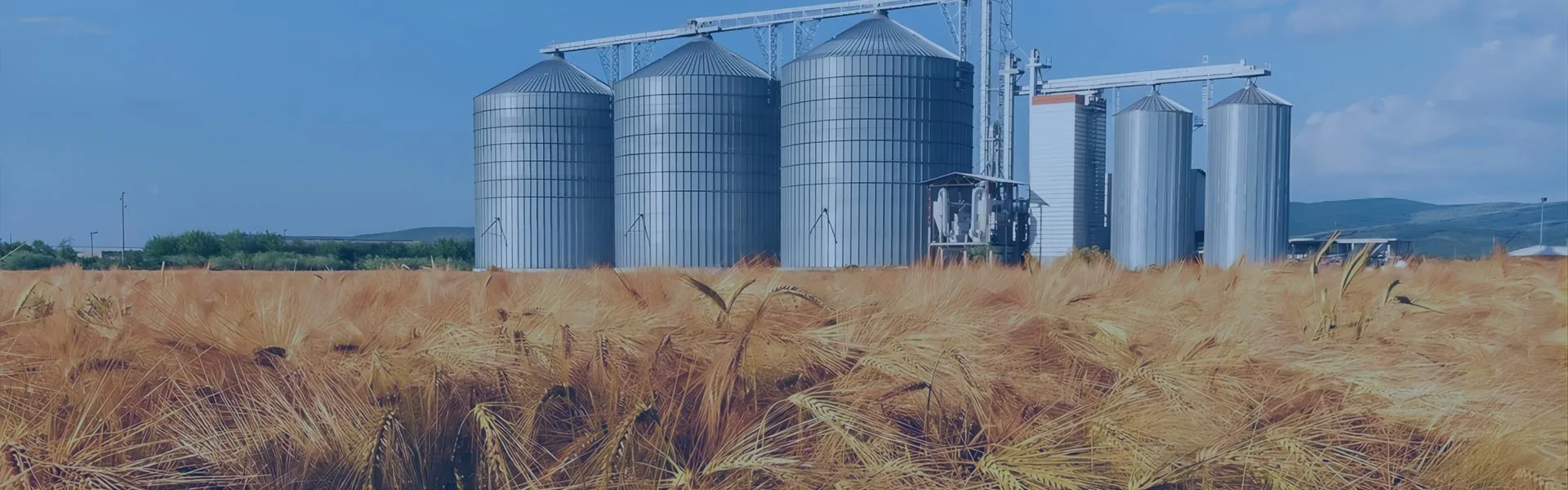 Campo Agrícola