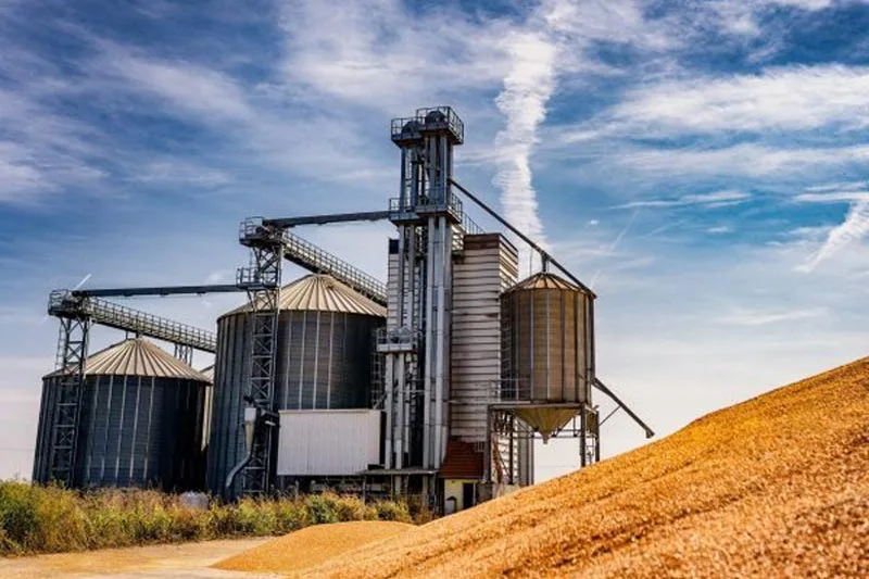 Campo Agrícola